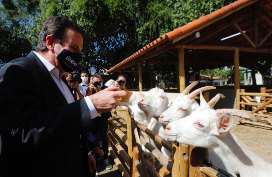 Prefeitura inaugura o BioParque do Rio, um novo conceito de zoológico, com mais de mil animais