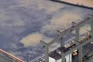 CEDAE REGISTRA MAIOR CONCENTRAÇÃO DE GEOSMINA E FEZES NA ÁGUA QUE VAI PARA OS CARIOCAS.