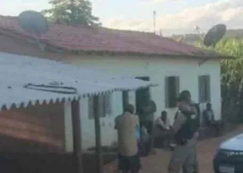 Homem bebe demais, é levado para matagal e acorda com pênis decepado