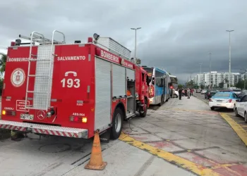 MOTORISTA MORRE EM ACIDENTE NA PISTA EXCLUSIVA DO BRT NA ZONA OESTE