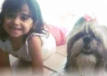 CADELA MORRE APÓS DEFENDER CRIANÇA APÓS ATAQUE DE PITBULL