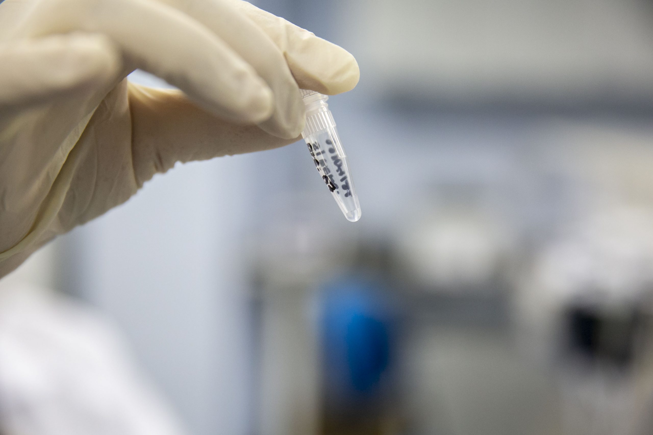 Polícia Civil realiza coleta de DNA para auxiliar a identificar desaparecidos