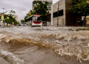 TEMPESTADE CASTIGA CAMPO GRANDE!! COMO SE PREVINIR?