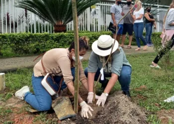Famílias plantam árvores na zona oeste em homenagem às vítimas da Covid-19 n