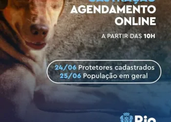Prefeitura lança Central Anticorrupção para receber denúncias envolvendo agentes públicos municipais