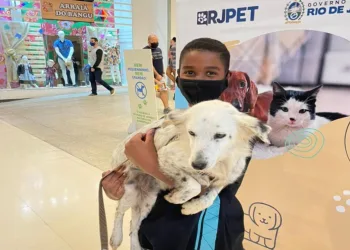 Estado realiza campanha de adoção de animais neste sábado no Rio