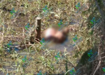 Corpo de motorista de aplicativo desaparecido no RJ é localizado