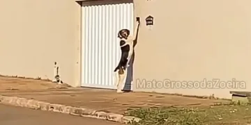 Mulher filma cachorro tocando campainha para entrar em casa