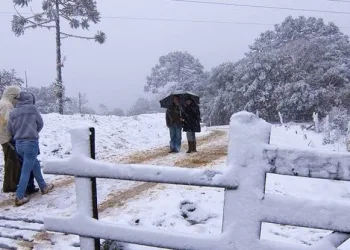 Brasil pode ter frio mais intenso do século, com neve e sensação de -25ºC