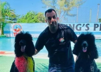 Estelionatário preso criou rede de petshops no Rio usando nome e documentos falsos