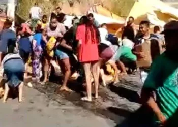 Multidão briga por frangos após acidente com caminhão