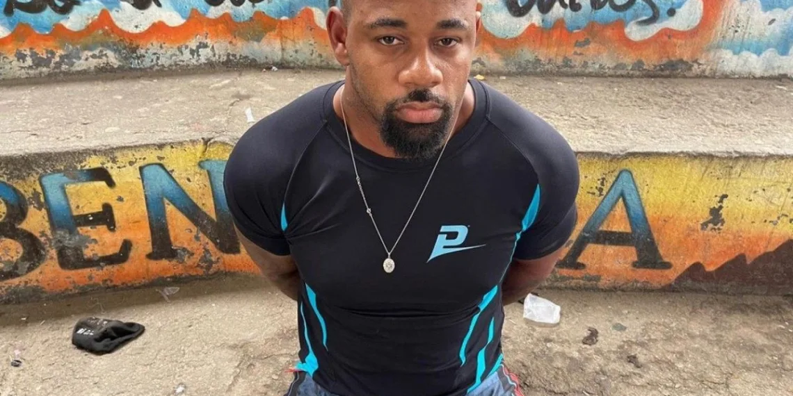 Macaquinho tinha lucro pessoal de R$ 400 mil e pônei de estimação