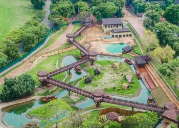 Polícia Civil prende 18 cambistas que vendiam ingressos do BioParque