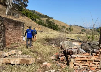 Governo fecha o cerco na Costa Verde e combate crimes ambientais