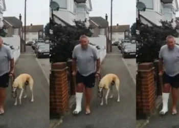Homem manco gasta R$ 2 mil no veterinário e descobre que seu cachorro o imitava