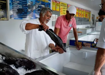 Doença “urina preta” pode estar relacionada a consumo de frutos do mar