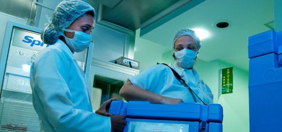 Campanha foca em conversa com família para aumentar doação de órgãos