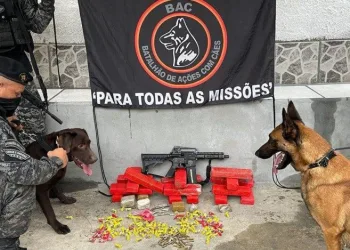 Ação do BAC apreende um fuzil e 2 kg de maconha no Rio de Janeiro