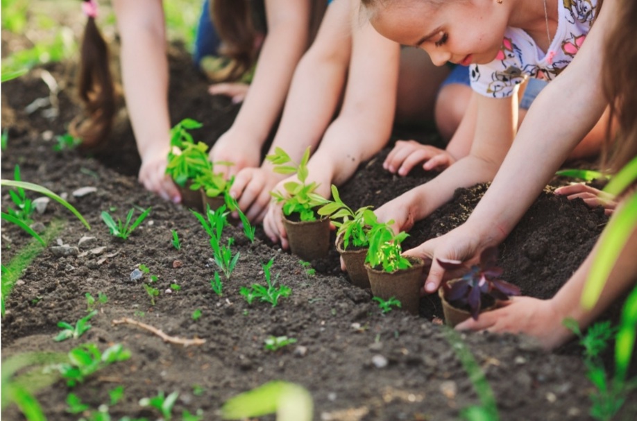 Prefeitura do Rio de Janeiro participa de ação sobre urgência da crise climática nesta sexta-feira