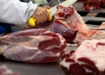 Preços de carnes, frango e suínos já recuam no atacado com embargo da China às exportações brasileiras; efeito deve chegar ao consumidor