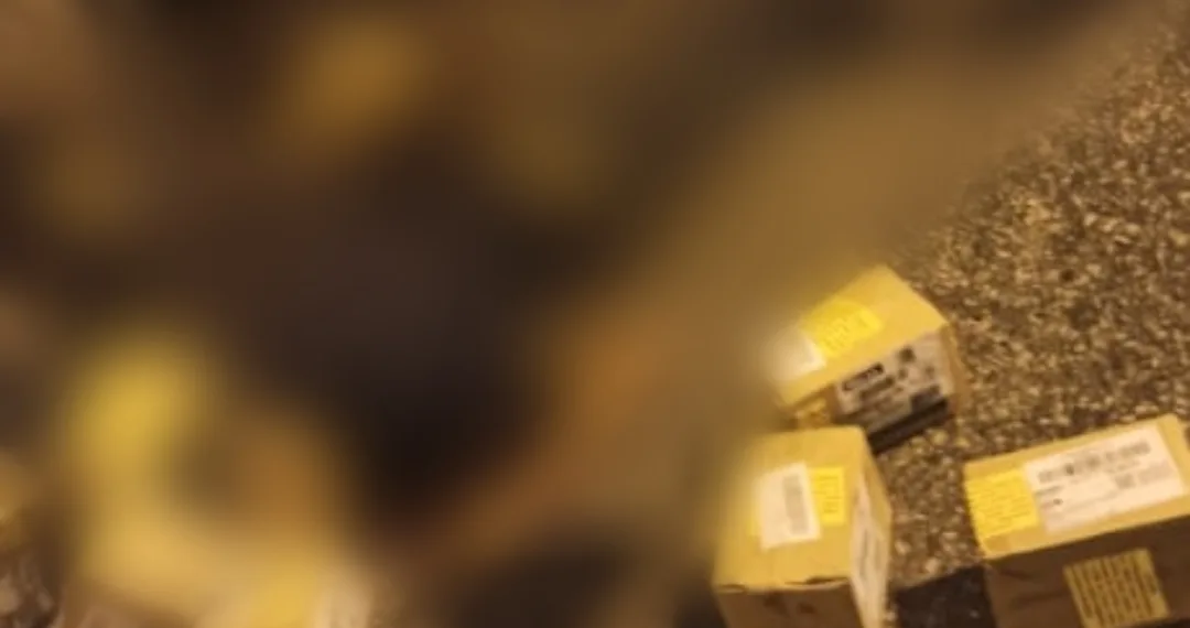 BANDIDOS SÃO MORTOS NA AVENIDA BRASIL ( VÍDEO)