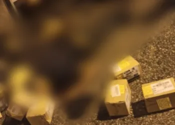 BANDIDOS SÃO MORTOS NA AVENIDA BRASIL ( VÍDEO)