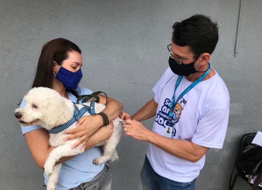 Vacinação antirrábica de cães e gatos avança pela Zona Oeste no sábado