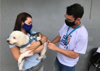 Campanha de vacinação antirrábica será concluída neste sábado, na Zona Oeste