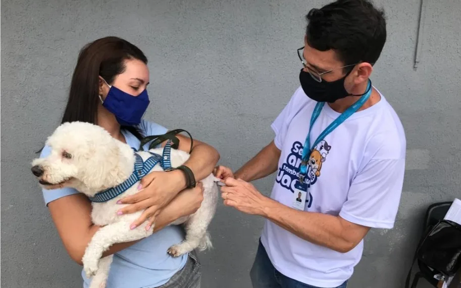 Campanha de vacinação antirrábica será concluída neste sábado, na Zona Oeste