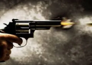 CÂMARA DO RIO REJEITA PROJETO QUE PERMITE VENDA DE ARMAS DE FOGO NA CIDADE