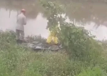 ( VIDEO) CORPO DE MENINO QUE DESAPARECEU APÓS PULAR EM RIO É ENCONTRADO.