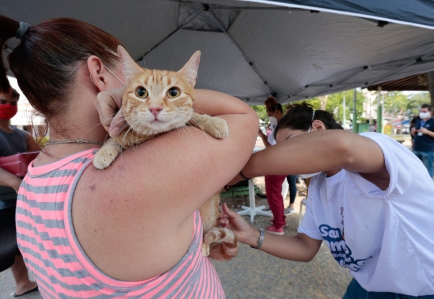 Campanha de vacinação antirrábica terá repescagem nos dois próximos sábados