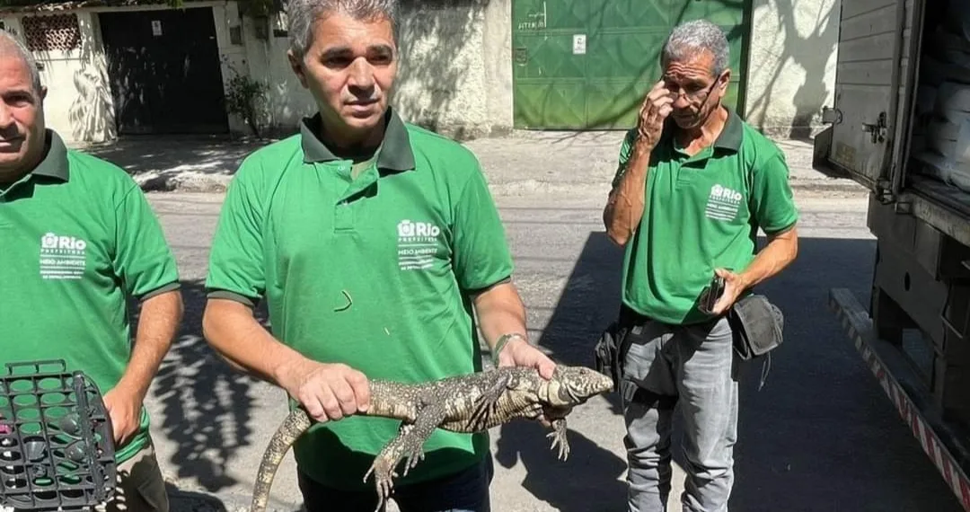 HOMEM É PRESO POR TRÁFICO DE ANIMAIS NA ZONA OESTE