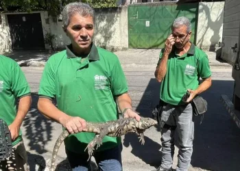 HOMEM É PRESO POR TRÁFICO DE ANIMAIS NA ZONA OESTE