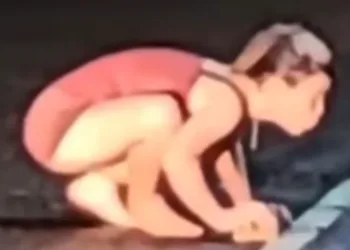 Mulher vira onça e aguarda marido em porta de motel; vídeo