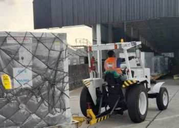 Covid-19: publicada lei que autoriza doar vacinas a outros países