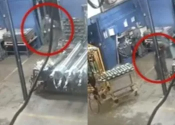 Vídeo: chefe mata funcionário por tomar café fora do horário