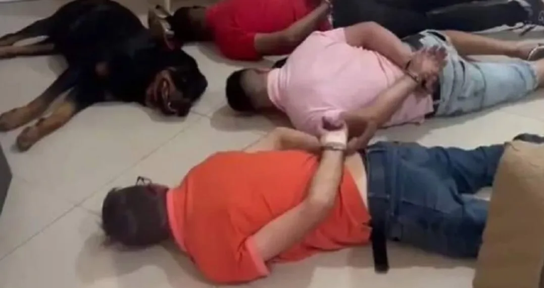 Cachorro “se rende” junto com suspeitos durante operação policial