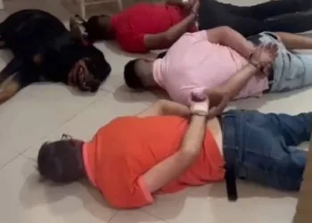 Cachorro “se rende” junto com suspeitos durante operação policial