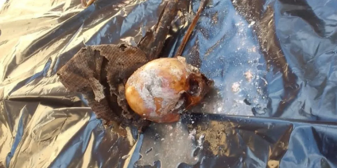 Ossada humana é encontrada dentro de fossa de residência no Rio