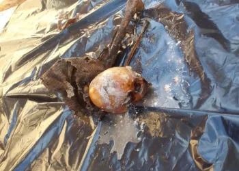 Ossada humana é encontrada dentro de fossa de residência no Rio
