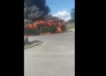 Rodovia Washington Luiz é interditada por tentativa de roubo