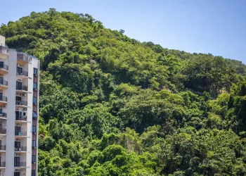 Favelas do Rio, dentro de unidades de conservação, serão reflorestadas