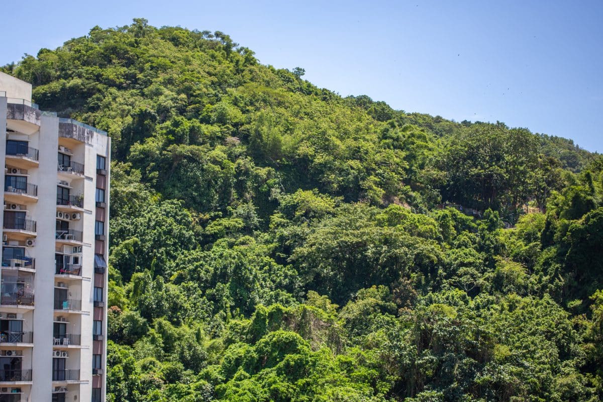 Favelas do Rio, dentro de unidades de conservação, serão reflorestadas