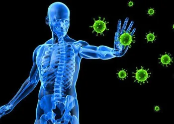 A Importância da Imunidade: Como Fortalecer seu Sistema Imunológico para uma Vida Mais Saudável