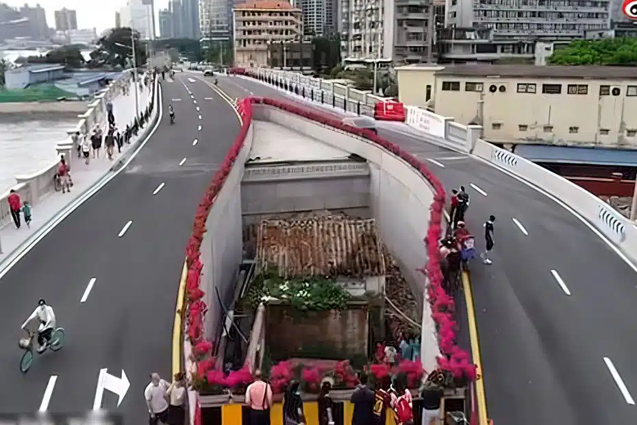 Moradora se nega a abandonar sua casa. Então construíram a estrada ao redor dela