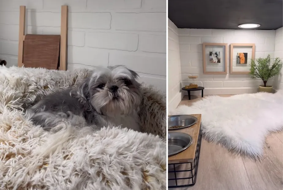Cãozinho fofo ganha “quarto” decorado embaixo da escada e viraliza; veja como ficou!