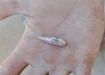 Guerra em Seropédica!! Imagens fortíssimas!!