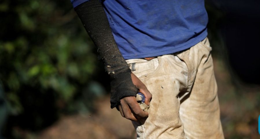 Mais de 1,2 mil pessoas foram resgatadas de trabalho escravo em 2023