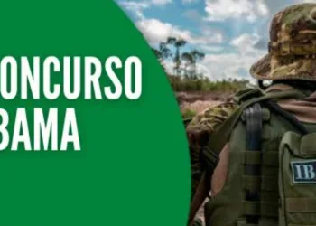 IBAMA anuncia Concurso Público(Nível Médio) com salários acima de R$ 5 mil; inscreva-se!